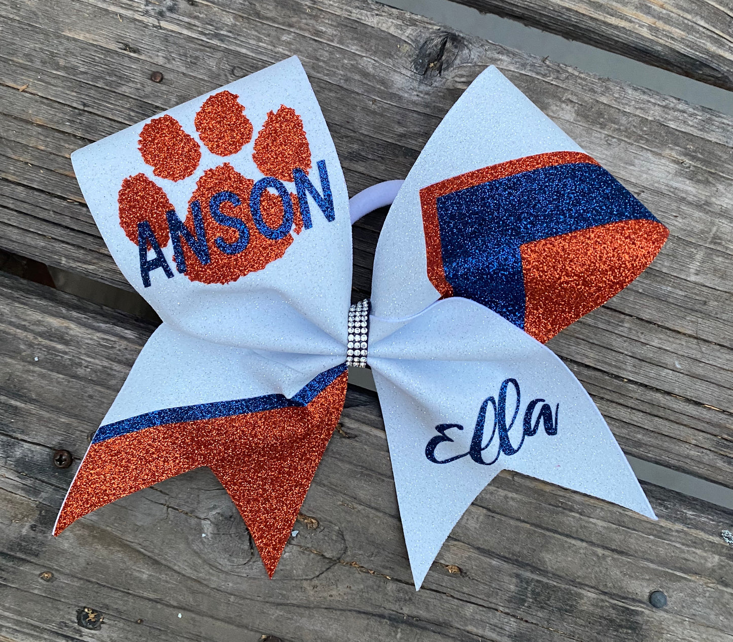 Anson Custom 2024 Team Bows