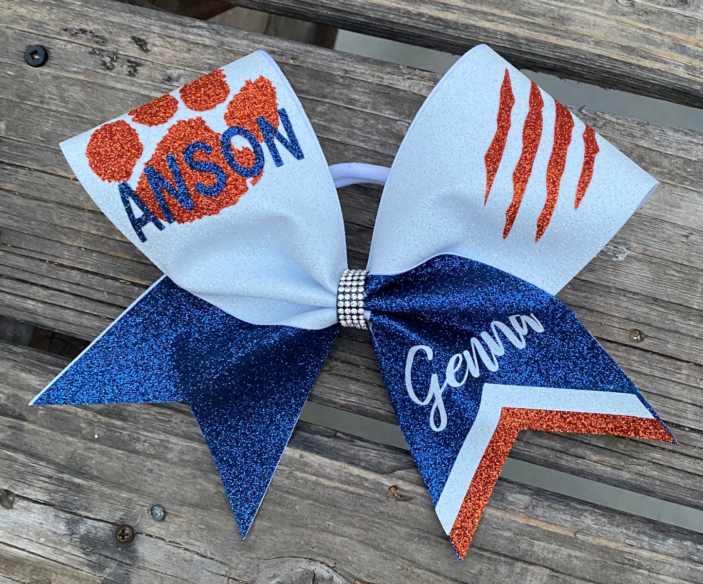 Anson Custom 2024 Team Bows